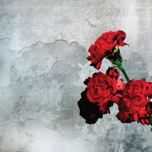 封面圖片 - All of me