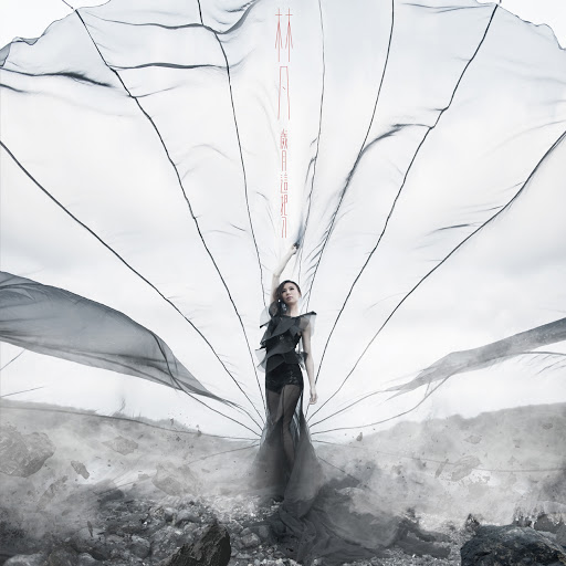 封面圖片 - 明明愛你